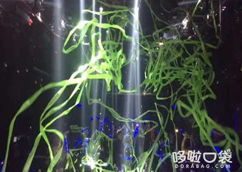 彩帶機